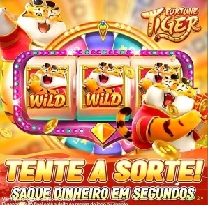 Instalação PC bet20